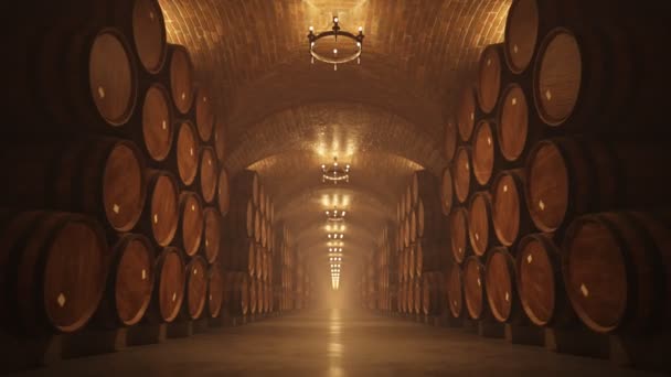 Symétrie Barrique Chêne Dans Cave Vin Avec Des Lumières — Video