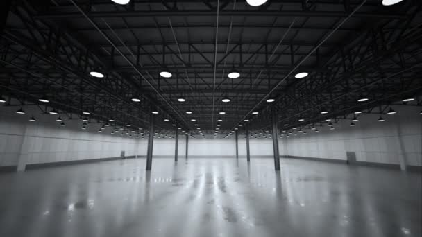 Interior Large Modern Empty Warehouse — Stock Video