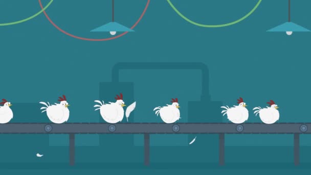 Detalhe Indústria Alimentar Com Processamento Carne Aves — Vídeo de Stock