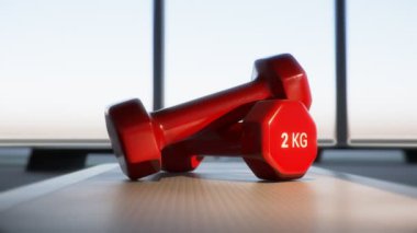 Kırmızı Dumbbels Fitness adım üzerinde bir çift.