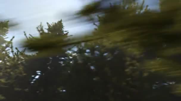 Kameran Flyger Genom Skogen Sidled — Stockvideo