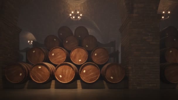 Filas Barricas Roble Vino Bodega — Vídeos de Stock