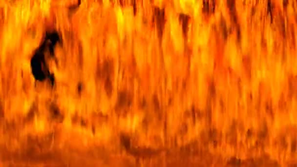Detail Intenzivní Červené Plameny Při Požáru — Stock video