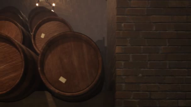 セラーでワインのオーク材の樽の行 — ストック動画