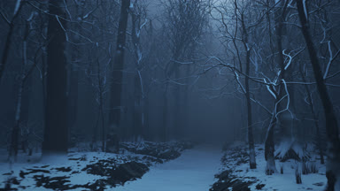 Kış orman sokakta bir sis animasyon döngü sorunsuz imkanı.