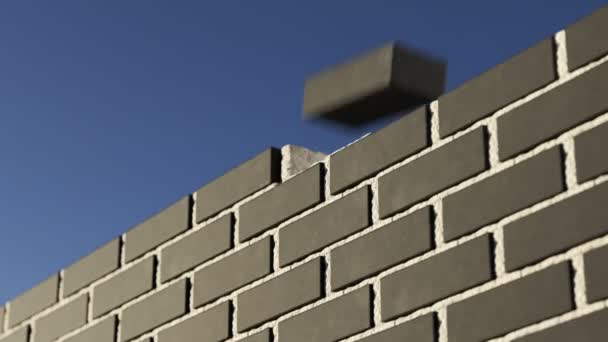Цегляна Стіна Клінкерної Цегли Будується Нескінченній Анімаційній Петлі Рух Вертикальної — стокове відео