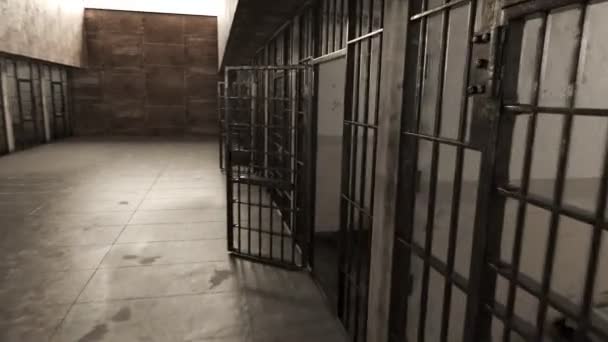 Promenade Rapide Chaotique Dans Couloir Prison Prisonnier Entre Dans Cellule — Video