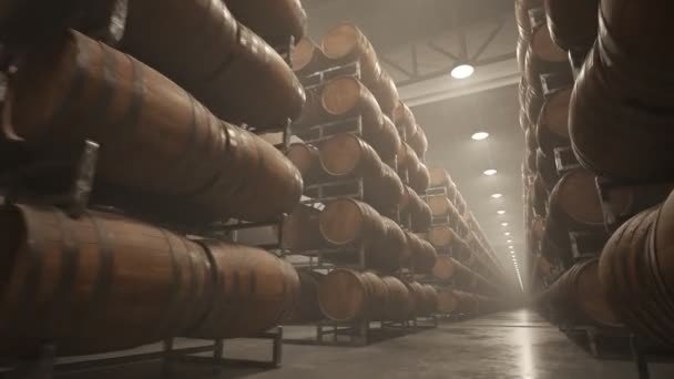 威士忌或酒桶堆积在仓库的排 — 图库视频影像