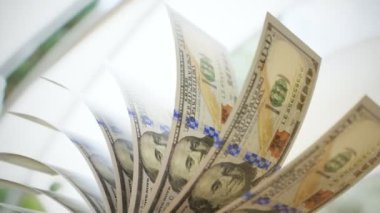 100 dolar faturaları sayma yakın çekim shot
