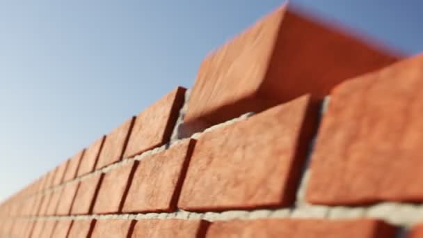 Brick Wall Made Out Clay Bricks Building Itself Endless Animation — Stock Video