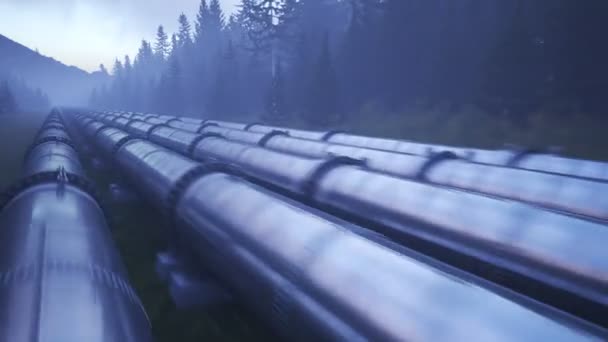 Пять Потоков Трубопровода Проходят Через Лес Камера Быстро Движется Вперед — стоковое видео