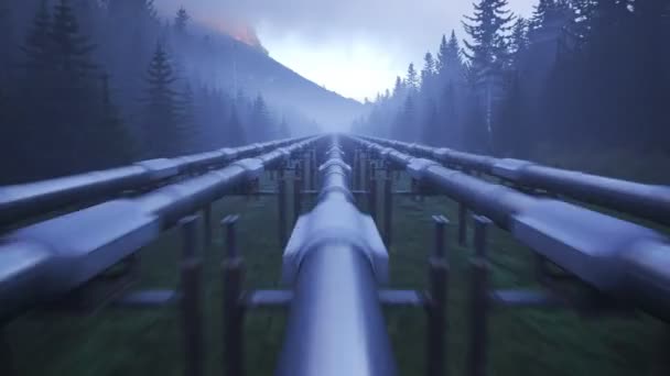 Fem Strömmar Pipeline Löper Genom Skogen Clearance Kameran Snabbt Framåt — Stockvideo