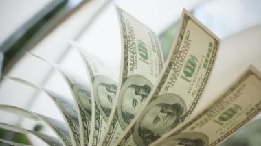 100 dolar faturaları sayma yakın çekim shot