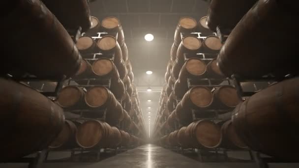 Whiskey Wine Barrels Stacked Rows Warehouse — Stock Video