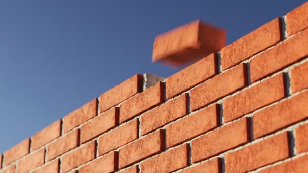 Brick Wall Made Out Clay Bricks Being Build Endless Animation — Stock Video