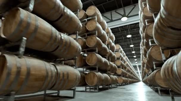 Tonneaux Whisky Vin Empilés Rangées Entrepôt — Video