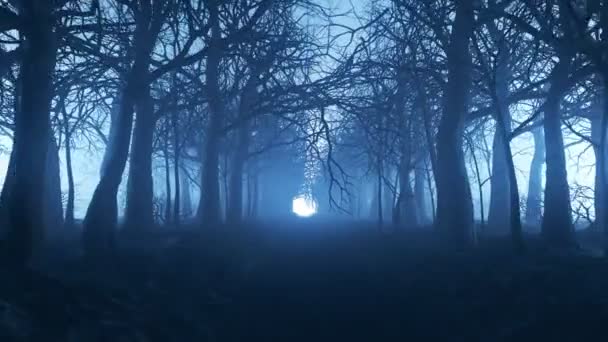 Бесшовный Цикл Анимации Зимней Лесной Аллеи Тумане — стоковое видео