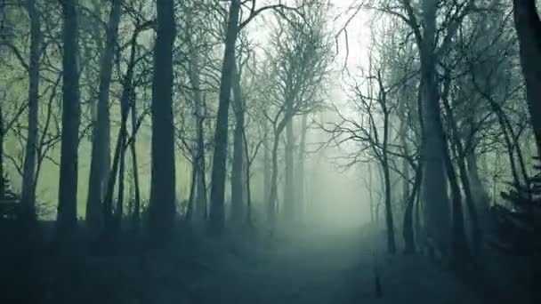 シームレスな霧の中で冬の森の路地のアニメーションをループ — ストック動画