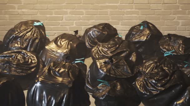 Bolsas Basura Completas Negras — Vídeos de Stock