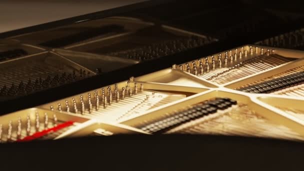 Zongora Részletek Zár Megjelöl Kilátás — Stock videók