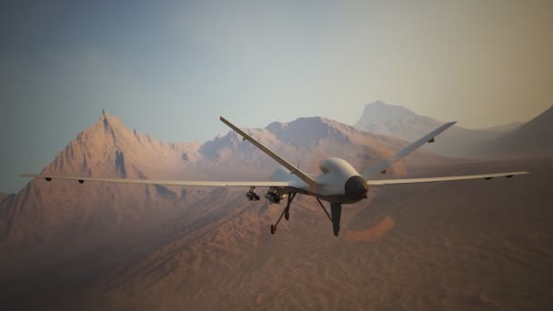 Military Predator Drone — Stock Video