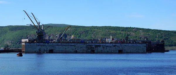 Deniz dock yuvası.