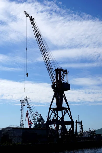 Bir vinç siluet Port.