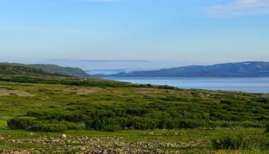 Arctic yaz aylarında Barents Denizi'nde bir koy.