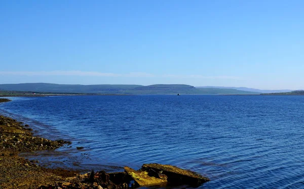 Uma Baía Mar Barents Ártico Verão — Fotografia de Stock