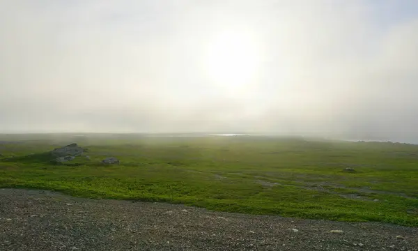 Tundra yaz aylarında puslu bir taş yol.