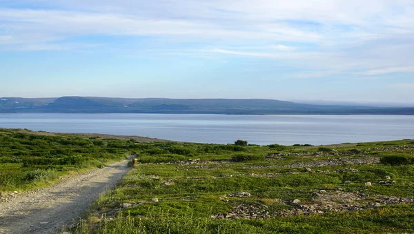 Uma Estrada Uma Baía Mar Barents Uma Noite Verão — Fotografia de Stock