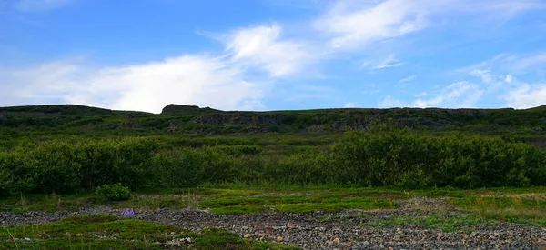 Montagne Tundra Estate — Foto Stock