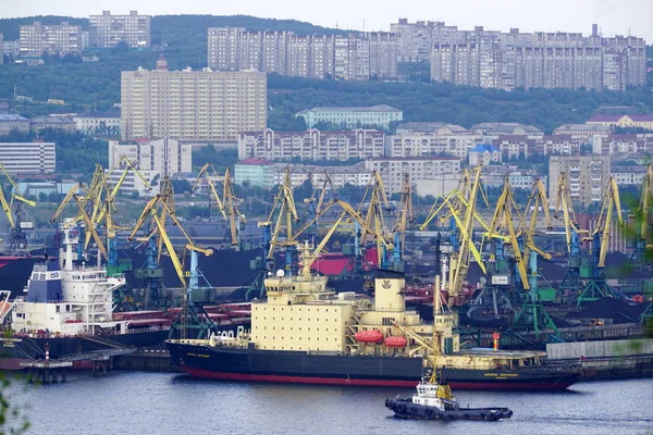 Murmansk, Rusya - 29 Temmuz 2017: Murmansk ve manzarayı Kola Koyu'ndaki meşgul, bağlantı noktası.