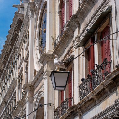 St. marks Meydanı ve saat kulesi yan görünüm. Venedik, İtalya. Ön plan deniz bir sokak lambası üzerinde oturan martı içinde. Arka planda kule mavi saat yüzüdür