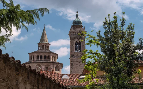 Uma vista da cúpula das igrejas e uma torre sineira através dos ramos de uma árvore. Bergamo, Itália. Em primeiro plano, há um telhado de azulejos — Fotografia de Stock