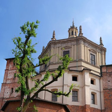San Lorenzo Maggiore Bazilikası'na - Saint Lawrence, ana Katedrali. Kuzey tarafında tükürük. Görünümünde nadir. Seyahat için mükemmel kartpostal