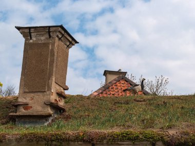 Geleneksel bir İsveçli evin eski çatısında kuş. Çim ve yosun ile kaplı çatı üzerinde kuş