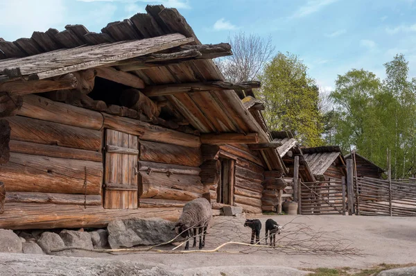 Skansen, dünyanın en eski Açık Hava Müzesi. Çiftlik binaları dış binalar. Barns ve Hayvancılık kalemleri. Stockholm, Isveç