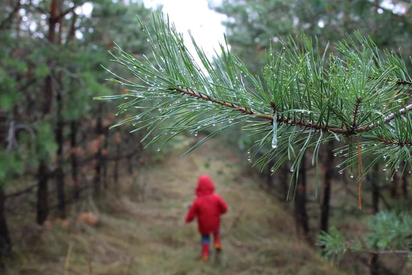 Παιδί Που Τρέχει Μέσα Από Δάσος — Φωτογραφία Αρχείου