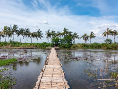 Süphan Buri, Tayland lotus gölette köprüde bambu görünümünü
