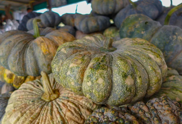 Closeup Pumpkin Markt — Stockfoto