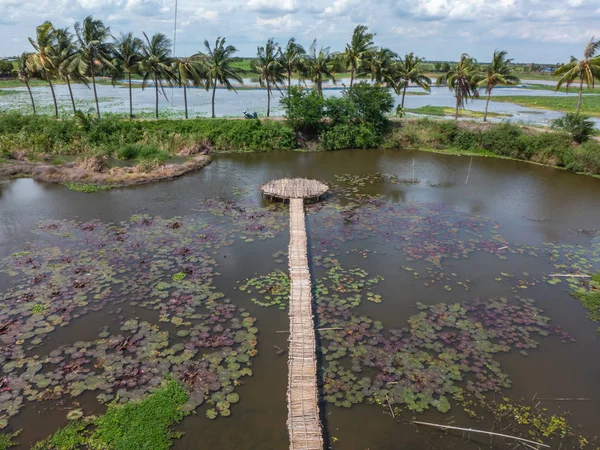 Süphan Buri, Tayland lotus gölette köprüde bambu görünümünü