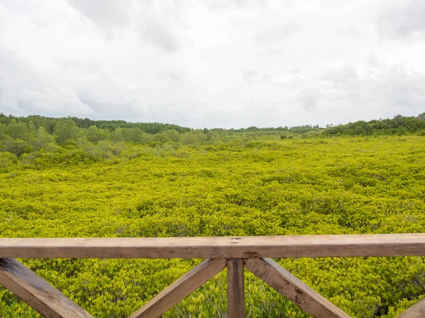 Tayland Ahşap balkon arıyorum Ceriops tagal alan