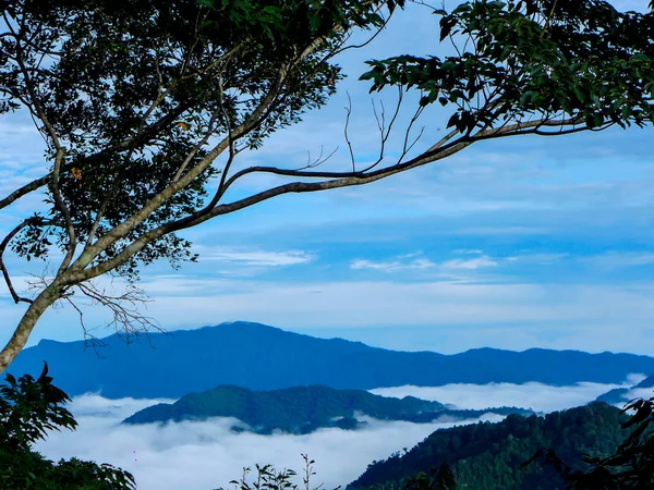 güzel sabah sis denizde Panoenthung manzara noktası, Tayland
