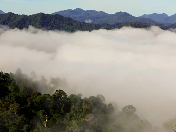 güzel sabah sis denizde Panoenthung manzara noktası, Tayland
