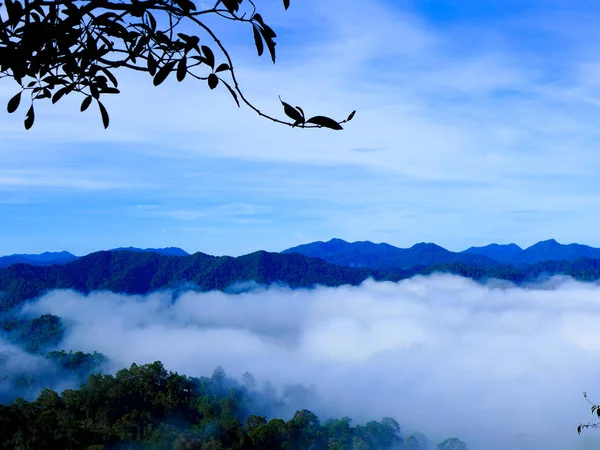 güzel sabah sis denizde Panoenthung manzara noktası, Tayland