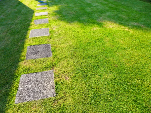 公園の緑の草の上の散歩道のブロック — ストック写真