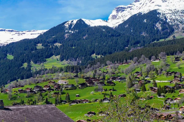 ülke yan görünümü - dağ zemin tepenin eteklerinde yeşil çimenlerin üzerinde çok sayıda ev