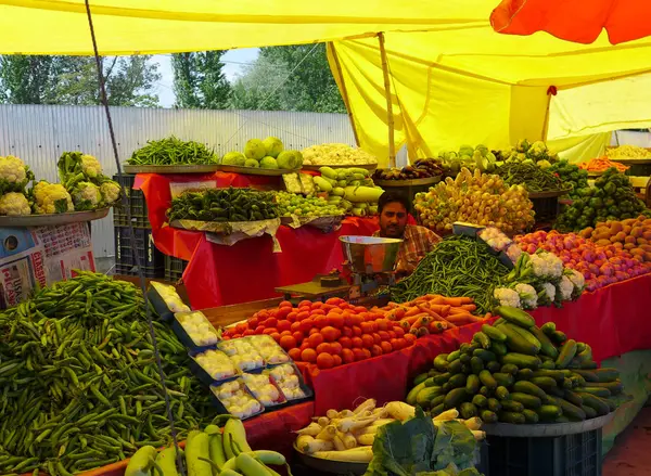 Muitas Frutas Legumes Mercado Com Comerciante Caxemira Índia — Fotografia de Stock