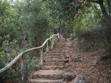 Ormandaki taş merdiven.